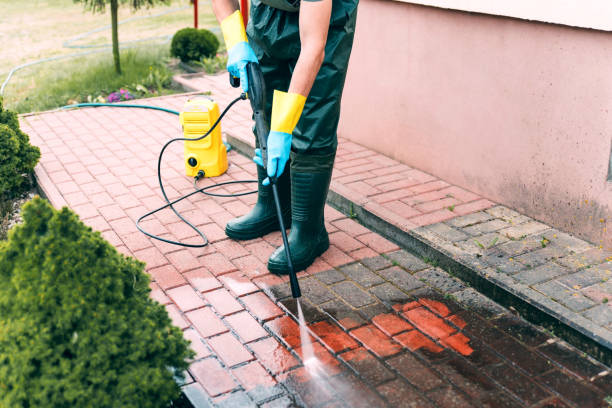 Best Fence Cleaning  in Carolina Forest, SC